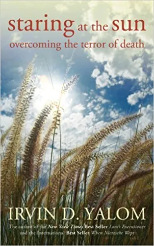 Staring at the Sun — book cover